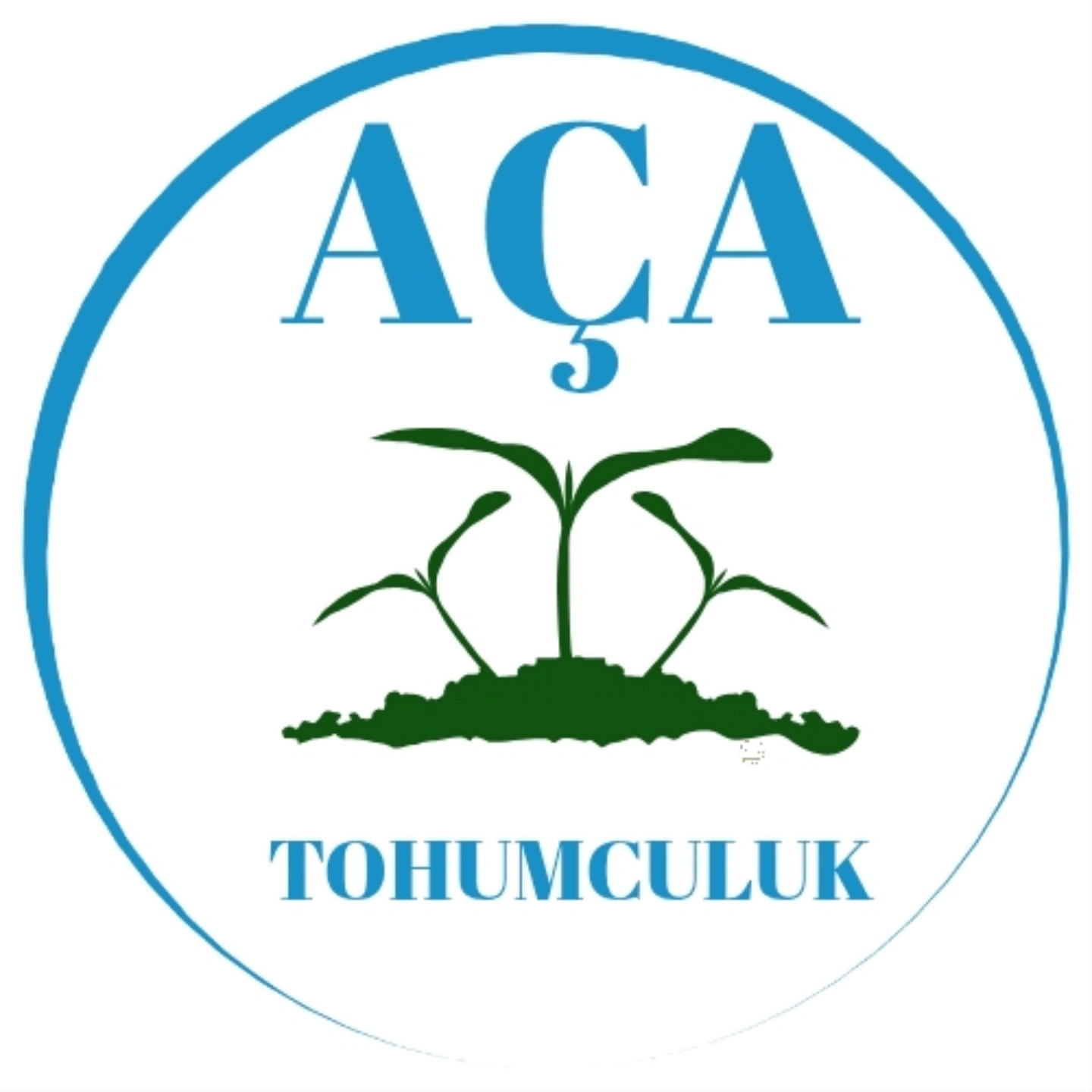 Teklif Formu